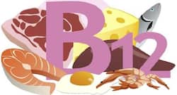 Vitamin B12 can prevent irreversible nerve damage in diabetics: Get this nutrient from these 6 foods