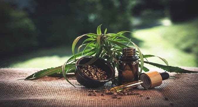 सीबीडी ऑयल क्या है? जानिए इसके फायदे और नुकसान सीबीडी ऑयल क्या है? जानिए इसके फायदे और नुकसान