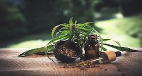 What is CBD oil and why it is increasingly gaining attention from researchers?