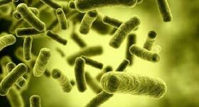 Bacterial outbreak infects thousands in China amid the COVID-19 pandemic: Know the symptoms