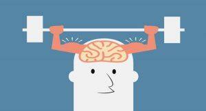 brain