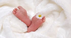 कोरोना महामारी के दौरान इन हॉलीवुड-बॉलीवुड सेलिब्रिटीज के घर आया कोरोनियल बेबी कोरोना महामारी के दौरान इन हॉलीवुड-बॉलीवुड सेलिब्रिटीज के घर आया कोरोनियल बेबी