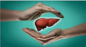 लिवर की कई समस्याओं के लिए गुणकारी है अश्वगंधा, नियमित रूप से करें इसका सेवन