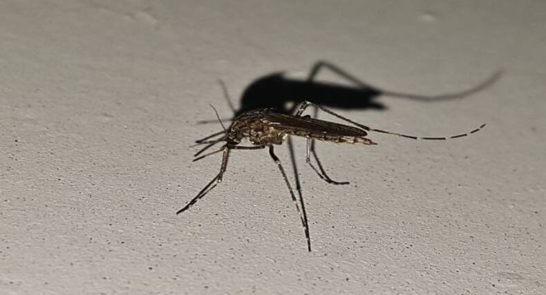 thehealthsite.com top news