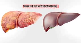 विटामिन सी, फाइबर और ओमेगा 3 से भरी ये चीजें आपके लिवर से निकाल फेंकेंगी हफ्ते भर की जमा गंदगी, लिवर को ऐसे करें डिटॉक्स विटामिन सी, फाइबर और ओमेगा 3 से भरी ये चीजें आपके लिवर से निकाल फेंकेंगी हफ्ते भर की जमा गंदगी, लिवर को ऐसे करें डिटॉक्स