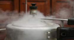 Cooking food in a pressure cooker: Is it healthy or not?