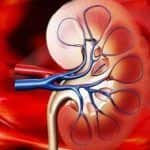 Kidney disease symptoms