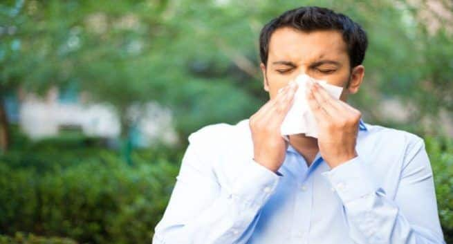 what to do for dust allergy home remedies