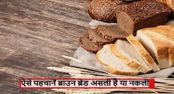 व्हाइट या ब्राउन ब्रेडः दोनों में से कौन ज्यादा हेल्दी, ब्राउन ब्रेड खरीदते वक्त ऐसे जांचे कि आपकी ब्रेड कहीं नकली तो नहीं