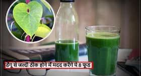 डेंगू डाइटः डेंगू से जल्दी ठीक होने के लिए कौन से फूड खाने चाहिए और कौन से नहीं, ऐसी बनाएं अपनी डाइट