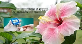 डायबिटीज के मरीजों के लिए वरदान है गुड़हल और सहाबहार का फूल, इस तरह करें इस्तेमाल