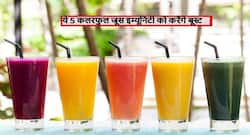Vitamin C से भरे ये हरे, लाल, पीले और सफेद रंग के जूस आपकी इम्यूनिटी को करेंगे बूस्ट, जानें हेल्दी फायदे