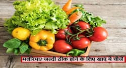 मलेरिया ने चूस लिया शरीर का सारा खून? जानें मलेरिया से जल्दी ठीक होने के लिए कैसी होनी चाहिए आपकी डाइट