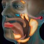 Scientists accidentally discover new organ that has been hiding behind our nose till now
