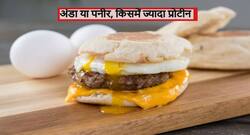 अंडा या पनीर, किसमें है ज्यादा प्रोटीन? जानें दोनों के बीच में प्रोटीन में अंतर और 5 हाई प्रोटीन वाले फल