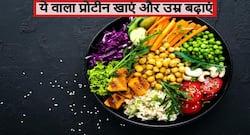 इस टाइप का प्रोटीन बढ़ा सकता है आपकी उम्र, स्टडी से जानिए कौन सा प्रोटीन खाएं ताकि लंबी हो जाए आपकी उम्र