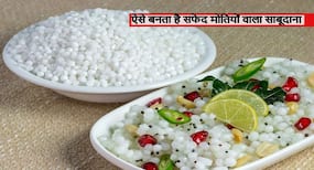 कैसे बनता है साबूदाना और कौन से पौष्टिक गुण आपको रखते हैं एक्टिव? जानेंगे तो खुद को खाने से नहीं रोक पाएंगे