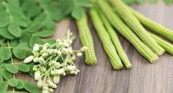 सहजन के पत्ते के फायदे, Sahjan Ke Patte ke Fayde