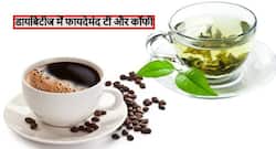 Diabetes Diet: डायबिटीज रोगियों की उम्र हो जाएगी दोगुनी बस दिन में इतने कप पिएं कॉफी और ग्रीन टी, 1 बात का रखें ख्याल