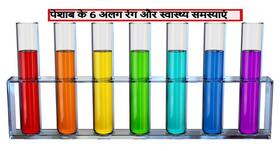 Urine and Health: पेशाब के 6 अलग-अलग रंग बताते हैं शरीर की परेशानियां, जानें किन कारणों से बदलता है आपके पेशाब का रंग