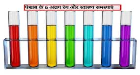 Urine and Health: पेशाब के 6 अलग-अलग रंग बताते हैं शरीर की परेशानियां, जानें किन कारणों से बदलता है आपके पेशाब का रंग
