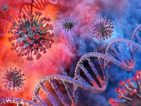 Study finds low risk of pregnancy complications from COVID-19