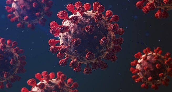 What happens to your body after being infected with the coronavirus?