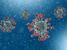 COVID-19 virus survives on surfaces within thin films, says study COVID-19 virus survives on surfaces within thin films, says study
