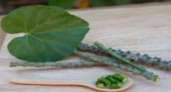 Giloy offers protection against COVID-19 and more: Easy ways to include this in your daily diet