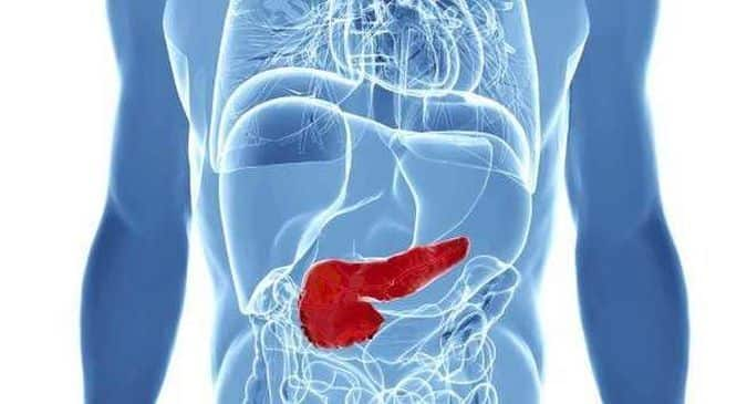 Pancreatic cancer can creep up silently: Be aware of the symptoms for early diagnosis and treatment