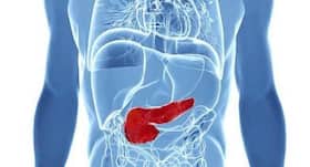 Pancreatic Cancer Can Creep Up Silently: Be Vigilant