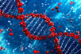 Small delays in cancer treatment can up death risk by 10%, says study