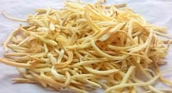 सफेद मूसली के फायदे, पुुरुषों की सेक्सुअल समस्याओं को दूर करे सफेद मूसली