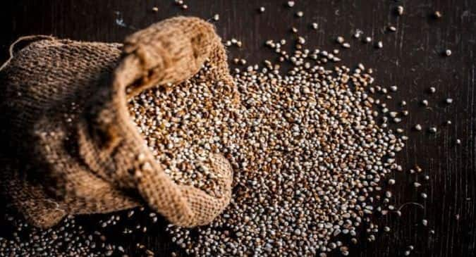 Bajra Benefits: Include pearl millet in your diet to rev up your ...