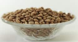 सर्दियों में चिरौंजी खाने के फायदे