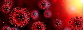 Coronavirus explained: Biological features that could make someone a super-spreader Coronavirus explained: Biological features that could make someone a super-spreader