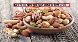 दिन में 30 ग्राम ड्राई फ्रूट आपकी सेहत के लिए सबसे ज्यादा हेल्दी! जानें कितनी मात्रा में मिलाएं काजू, बादाम जैसे ड्राई फ्रूट