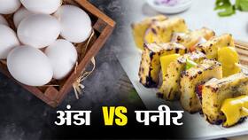 अंडे या पनीर में से प्रोटीन का सबसे अच्छा सोर्स क्या है?