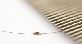 These 5 simple at-home remedies will help you get rid of head lice