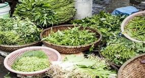 सर्दियों के मौसम में साग खाने के फायदे