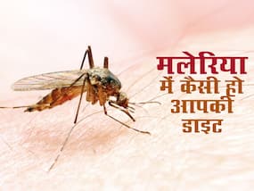मलेरिया में क्या खाएं और क्या ना खाएं मलेरिया में क्या खाएं और क्या ना खाएं