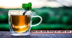 जहरीली हवा में सांस लेना हुआ मुश्किल? ये हर्बल चाय आपके फेफड़ों को करेगी साफ और रखेगी सुरक्षित