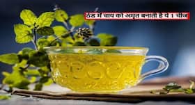 सुबह की चाय को 'अमृत' बनाने के लिए उसमें डालें ये 1 चीज! सर्दी-खांसी, जुकाम और ब्लड शुगर जैसी समस्याएं होंगी दूर