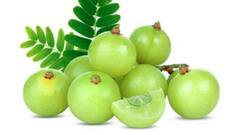 An amla a day can keep blood sugar levels under control: How to add it to your diet