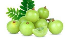 An amla a day can keep blood sugar levels under control: How to add it to your diet