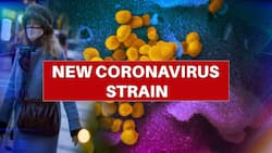 38 UK returnees test COVID-19 positive in Delhi; new strain detected in four