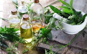 Gut acting up? Try these Ayurvedic herbs to calm your stomach
