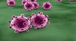 क्या वर्तमान वैक्सीन कोरोनावायरस के प्रकार-भेद के लिए उपयोगी है?