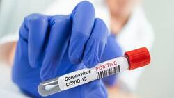 Who is at higher risk? Diseases which can make you prone to COVID-19