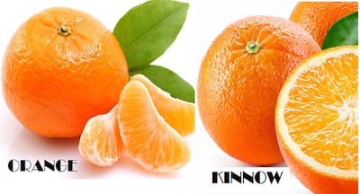 Orange Vs Kinnow: Which is more nutritious? l TheHealthSite.com ...